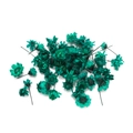 Close-up of small teal Brazilian Star Flowers for DIY resin crafts and home decor - Small Pack / Green