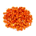 Close-up of small orange Brazilian Star Flowers for DIY crystal resin decorations - Small Pack / Orange