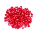 Detail van kleine gedroogde rode sterbloemen voor doe-het-zelf sieraden en decoratie - 1g (ca. 70 koppen) / Rood