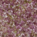 Makroaufnahme von 2x4mm zweifarbigen Katzenaugen-Glasperlen für DIY-Schmuck und Basteln - 100 Stück/Packung (2.5x4mm) / Lila & Grün