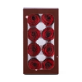 Preserved red rose gift box with 8 real flowers in a brown window display packaging - 8 Flowers (4-5cm) / Red