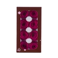 Elegant rose red preserved flower gift box with eight roses in a windowed brown case - 8 Flowers (4-5cm) / Rose Red