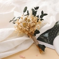 Detailed close-up of a mini dried flower bouquet with white daisies and jute rope wrap - Luddan Bird Eucalyptus
