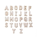 26-piece set of white enamel and gold-plated 10mm alloy alphabet charms for DIY jewelry - Letter A / 5 Pieces / White
