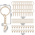 Detail view of 25mm gold metal keyrings and lobster clasps set with exact dimensions - KC Gold