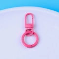 Detailed macro view of pink painted metal lobster clasp and spring ring keychain accessory - Rose Red