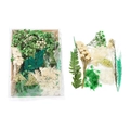 DIY dried flower material pack with green and white hydrangea and fern leaves - 1 Bag / Green Style 01