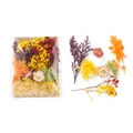 Colorful mixed dried flower kit with statice and hydrangea in transparent bag - 1 Bag / Orange Style 01