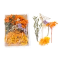 DIY dried flower material kit with orange babysbreath and yellow hydrangea in PP bag - 1 Bag / Orange Style 02
