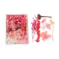 Pink and red dried flower DIY kit with hydrangea and rabbit tail grass in packaging - 1 Bag / Pink Style 01