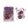 DIY dried flower pack with purple forget-me-nots and red daisies for crafts - 1 Bag / Purple Style 02