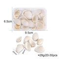 Macro de petits coquillages blancs naturels en boîte pour projets de bricolage DIY - Coquillage Blanc