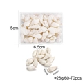 Détails de petits coquillages blancs en spirale pour bricolage avec spécifications de taille - Conque de Riz Blanc
