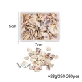 Detailed view of 250 pieces of small natural shells in a 5x7cm storage box for DIY crafts - Wry Neck Snail