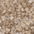 Transparente Acrylperlen in Ovalform mit Goldstreifen für DIY-Schmuck - Ovaler konzentrischer Kreismuster-Stil (57款) / 10er Pack