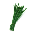 Dark green plush chenille stems for DIY handicrafts and creative flower projects - 30cm / Dark Green