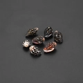 Détail macro de mini coquillages tachetés naturels pour artisanat DIY sur fond noir - 15*8mm (50 Pièces/Pack) / Noir