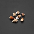 Détails de petits coquillages naturels pour le bricolage et décor d'aquarium - 12*7mm (50 Pièces/Pack) / Café