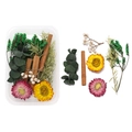 Detail of DIY dried botanical kit featuring cinnamon sticks and colorful flowers - Boxed Style 03