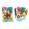 Ensemble de fleurs séchées avec gypsophile rose et tournesols sous emballage scellé - Style Bleu 01