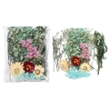 Détail du kit DIY de fleurs séchées colorées dans un emballage plastique transparent - Style Bleu 02