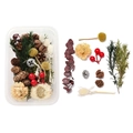 Macro view of DIY dried flower set with pine cones and berries for home aromatherapy - Boxed Style 07