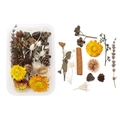 Detailed flat lay of dried flowers, pine cones, and cinnamon sticks for DIY decor - Boxed Style 08