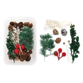 Macro shot of DIY kit with dried pine cones, red berries and greenery in clear storage box - Boxed Style 11
