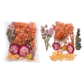 Fleurs séchées assorties avec marguerites et eucalyptus pour bricolage et bougies - Style Orange 02