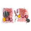 Détail macro de fleurs séchées mixtes avec gypsophile et statice pour artisanat DIY - Style Rose 03