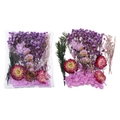 Détail du kit de fleurs séchées DIY avec des myosotis violets et des fleurs de paille rouges - Style Violet 01