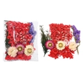 Kit détaillé de fleurs séchées en sachet transparent avec divers pétales multicolores - Style Rouge 01