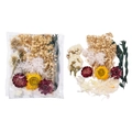 Détail du kit de fleurs séchées DIY avec tournesols et gypsophile pour loisirs - Style Blanc 01