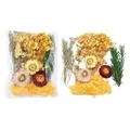 Détail du kit de matériel de bricolage fleurs séchées avec marguerites et gypsophile - Style Jaune 02