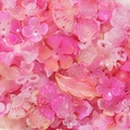 Detailopname van diverse roze hars kralen in vormen van bloemen, waaiers en strikken - Jelly Gemengd-Oranje Rozerood