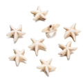 Starfish shaped cream white synthetic turquoise beads for DIY jewelry making sets - Starfish Shaped Bead (49) / 1 Piece / Creamy White with Brown Veins