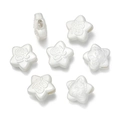 Macro detail of star-shaped DIY beads with embossed lucky characters and lion motifs - 2 Pieces/Pack / Little Dragon Lucky Star