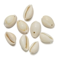 Macro detail of nine cream white cowrie shells with pre-drilled holes for DIY jewelry - Gold Edge Single Hole Large Style 01 / 10pcs/Pack