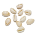 Close-up of natural cowrie shells with pre-drilled holes for DIY jewelry making - Gold Edge Single Hole Small Style 02 / 10pcs/Pack