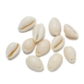 Macro detail of natural ivory cowrie shells with pre-drilled holes for DIY jewelry making - Single Hole Medium Style 03 / 10pcs/Pack