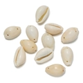 Macro detail of natural cream-white seashells with pre-drilled holes for DIY jewelry making - Double Hole Small Style 04 / 10pcs/Pack