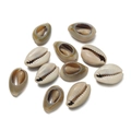 Close-up of 10 natural cowrie shells with pre-drilled holes for DIY jewelry making - Small No Hole Cut Edge Style 06 / 10pcs/Pack