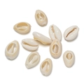 Macro shot of natural cowrie shells with pre-drilled holes for DIY jewelry making - Gold Edge Cut Single Side Style 07 / 10pcs/Pack
