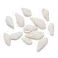 Macro shot of white spiral seashell pendants for DIY handmade jewelry and crafts - Solid Color Perforated Style 17 / 10pcs/Pack