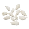 Macro view of white spiral natural seashells with pre-drilled holes for DIY jewelry - Spiral Single Hole Style 18 / 10pcs/Pack