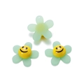 Detail of DIY sunflower acrylic charms with smiling faces for hair accessory making - Light Green (29x29mm)