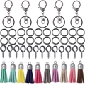 DIY keychain accessory kit with colorful leather tassels and dark gray lobster clasps - 65 Pcs/Pack / Gunmetal 8-shaped Buckle Tassel Keychain Set