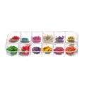 Top view of 12-compartment box with colorful dried flowers and leaves for DIY crafts - Daisy Lace Style / 1 Box