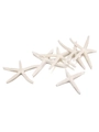 Set di sei stelle marine bianche 7-10cm per decorazioni casa e acquari paesaggistici - 7-10 cm / 1 Pezzo (Rif AC1007) / Bianco Sporco