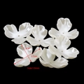 Macro detail of 3cm pearl white flower bead with 1.9mm hole for jewelry DIY crafts - Three-Petal Flower (Large) / 20 Pcs/Pack